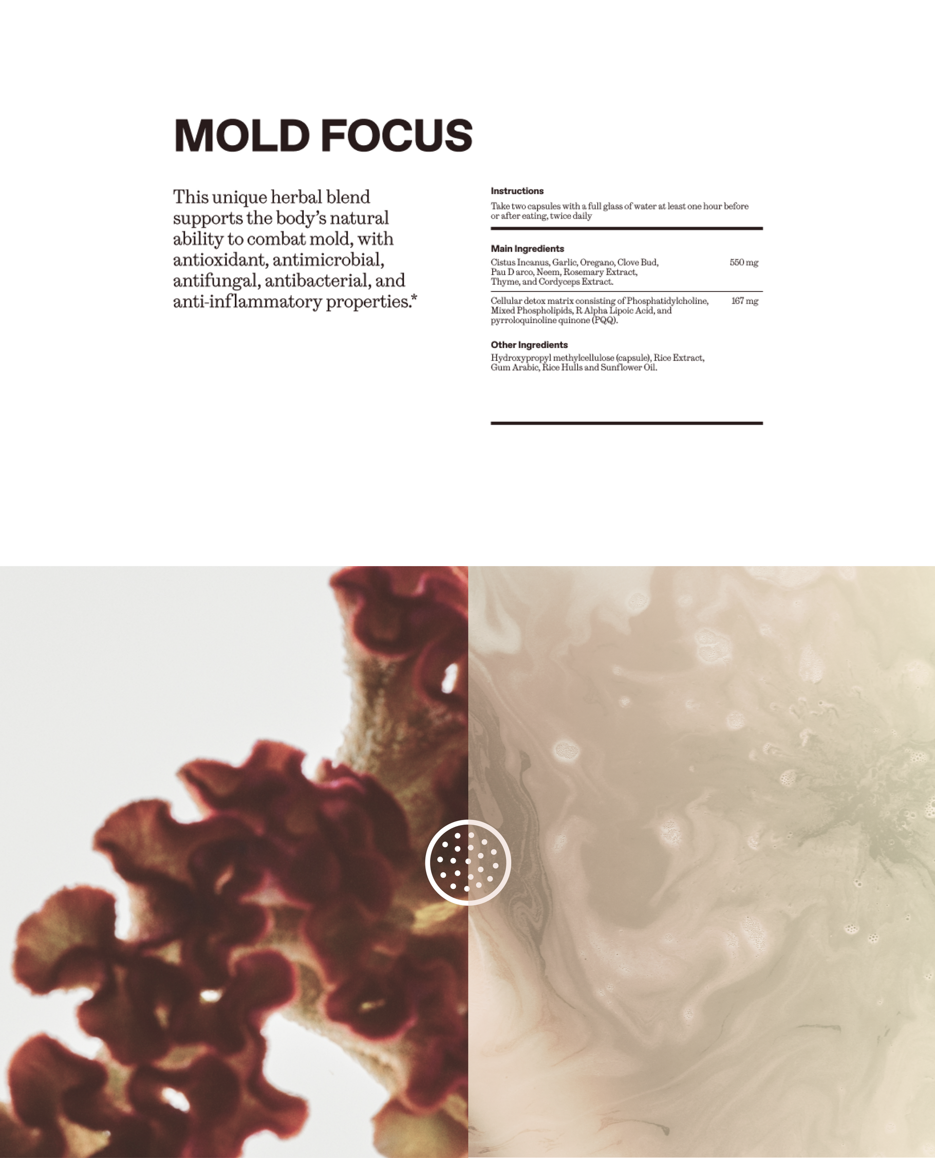 Mold Focus Bundle: Remover + Binder + Mold Focus